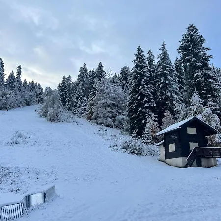 Luxury Facing Slopes In Out Nyaraló