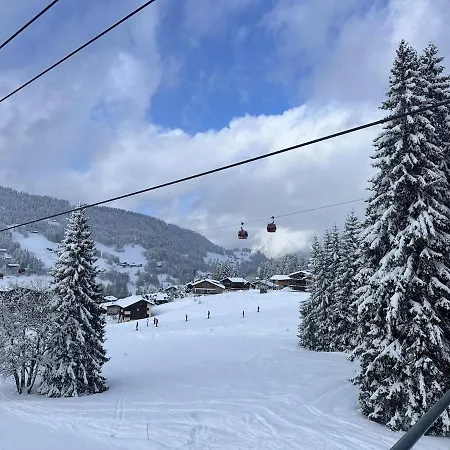 Luxury Facing Slopes In Out Les Gets