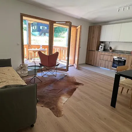 Luxury Facing Slopes In Out * Les Gets